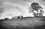 Colline de Vergy 9808.jpg